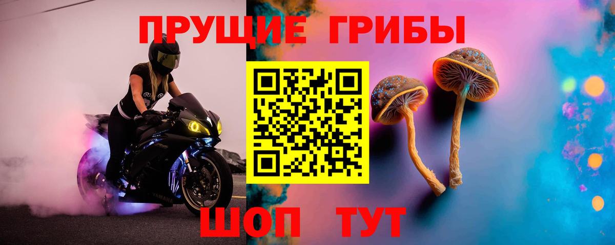Псилоцибиновые грибы Magic Shrooms  Вход с VPN  Кыштым 